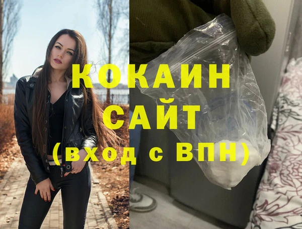 гашик Дмитров