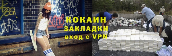 дживик Гусь-Хрустальный