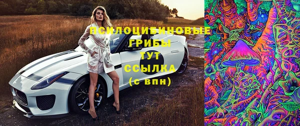 дживик Гусь-Хрустальный