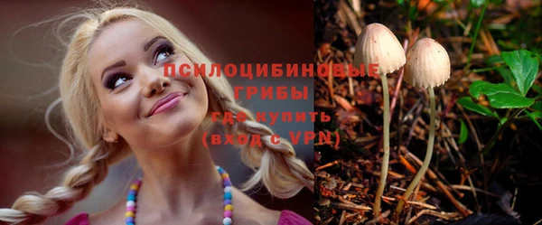 мет Гусев
